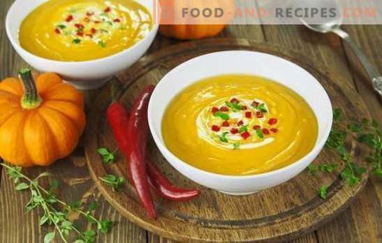 Soup-puree recipes are quick and tasty - tender and nutritious. How to cook cream soup: recipes for quick and tasty first courses