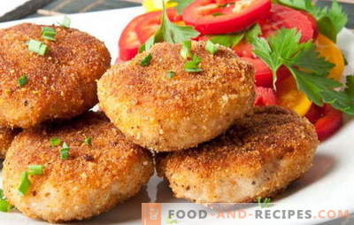 Cutlets like in kindergarten - the very taste! Cooking different children's cutlets: from fish, beef, semolina, carrots, turkey
