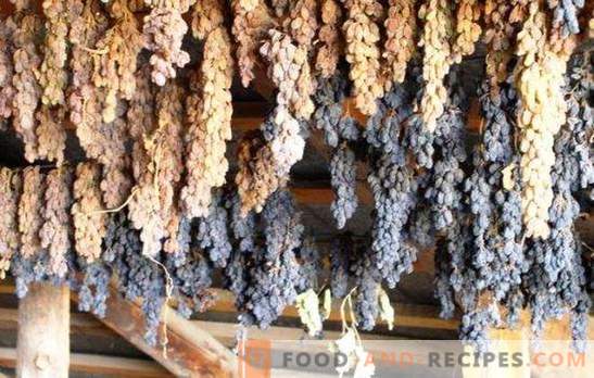 How to make raisins from grapes at home - save the harvest! All ways and tips on how to make good raisins from grapes at home