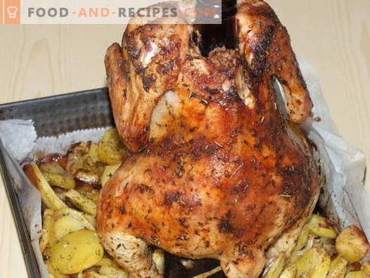 Chicken on the bottle - the best recipes. How to properly and tasty cook chicken on the bottle.