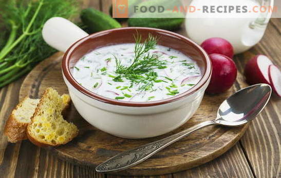 Okroshka, beetroot soup and other soups on kefir, vegetable and with meat. Italian, Spanish and Russian recipes for soups on kefir
