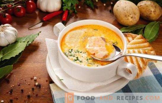 Fish soup - soup with a unique flavor! Recipes for various fish soup with canned food, fresh carcasses and fillets, cabbage, beans