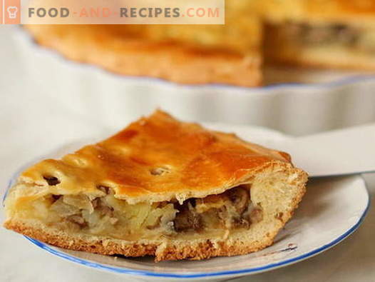 Pie with mushrooms - the best recipes. How to properly and deliciously cook a pie with mushrooms.