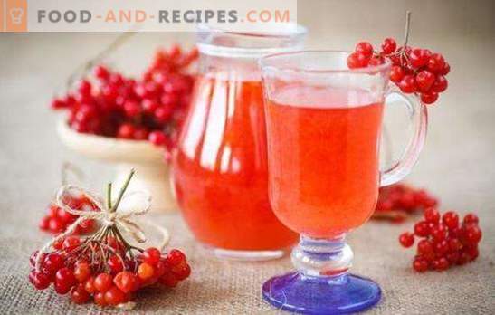 Wine from viburnum at home is an exotic drink available to everyone. Recipes wine from viburnum at home