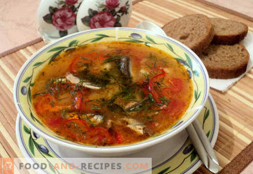 Tomato sprat soups - proven recipes. How to properly and deliciously cook tomato sprat soup.