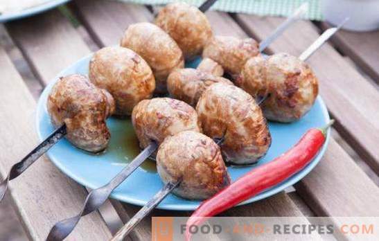 Grilled champignons - the original snack! How to cook delicious champignons on the grill: recipes and subtleties