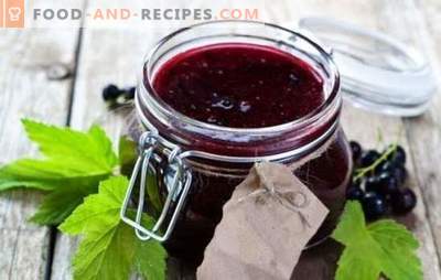 Black currant without cooking - summer freshness and benefits in the blanks. What delicious cook black currant without cooking for the winter