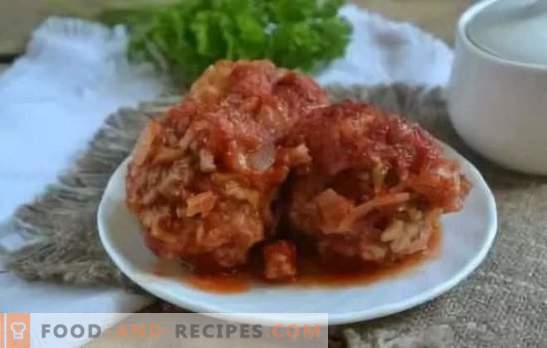 Meatballs in tomato sauce: step-by-step recipes, cooking secrets. A hearty dinner in a hurry - meatballs recipes in tomato sauce from meat and chicken