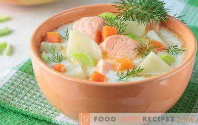 Soup of red fish - like adults and children. Step-by-step recipes for delicious red fish soups: salmon, salmon, pink salmon