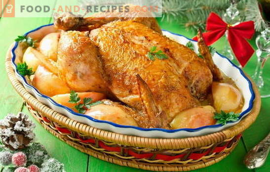 Chicken with apples in the oven - this is no joke! Recipes flavored chicken with apples in the oven: whole and slices