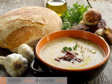 Mushroom soup - the best recipes. How to properly and tasty cook mushroom soup.
