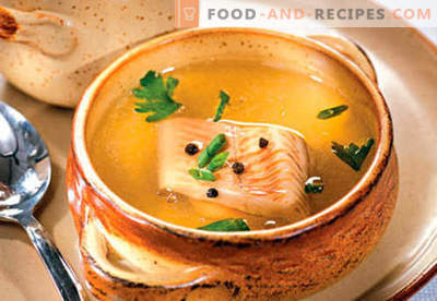 Fish broth - the best recipes. How to properly and tasty cook fish broth.