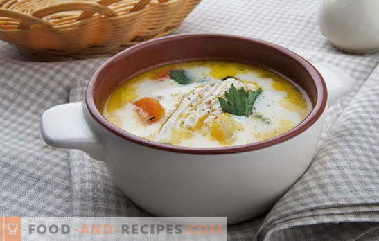 On the features of soup with melted cheese and chicken. Variations on the theme of julienne: homemade recipes for soup with melted cheese and chicken