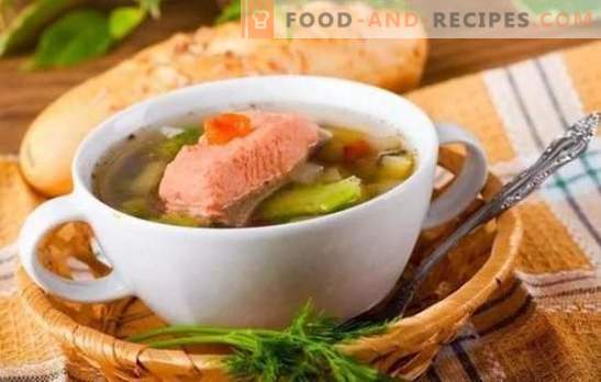 Ear of trout: benefits for the body and impeccable taste in one dish. The best recipes trout soup