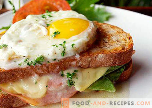 Hot sandwiches with sausage, cheese, egg, tomatoes - the best recipes. How to cook hot sandwiches in the oven, in the pan and microwave.