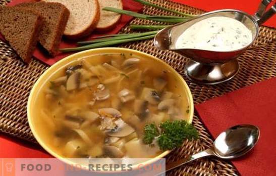 Mushroom soup in a slow cooker - for those who appreciate delicious food. Cooking fast, nourishing and tasty mushroom soups in a slow cooker without the hassle