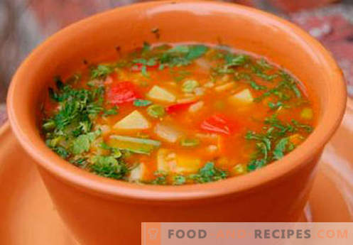 Vegetable broth soup - the best recipes. How to properly and tasty cook soup in vegetable broth.