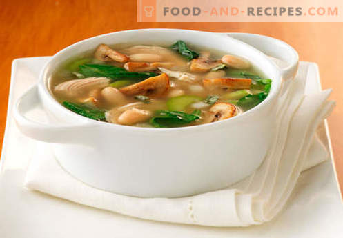 Soup in mushroom broth - the best recipes. How to properly and tasty cook soup in mushroom broth.