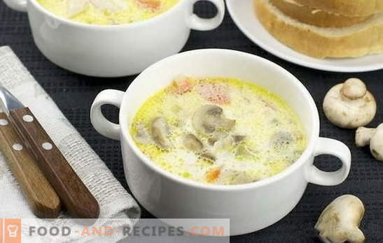 Mushroom cream soup: classic and original. Recipes light mushroom cream soup for business and home dinner