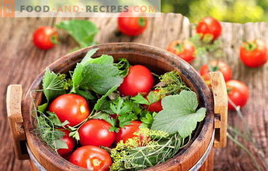 Green and red, the taste is wonderful, salty tomatoes in a barrel for the winter. Different ways of harvesting tomatoes in a barrel for the winter