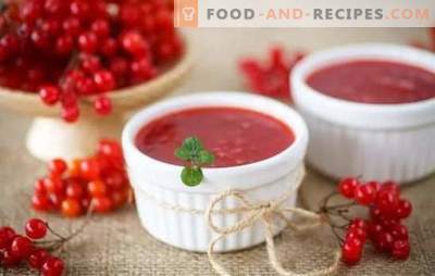 Viburnum jelly is both a treat and a medicine. Cooking jelly of viburnum as a dessert and for the winter, without stones and without cooking, with pumpkin and honey