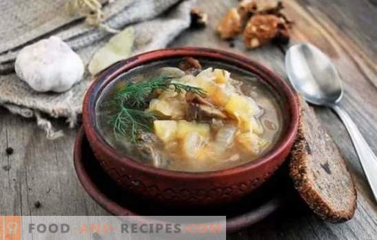 Indulge your home with delicious fresh cabbage soup with mushrooms. Recipes for fragrant fresh cabbage soup with mushrooms