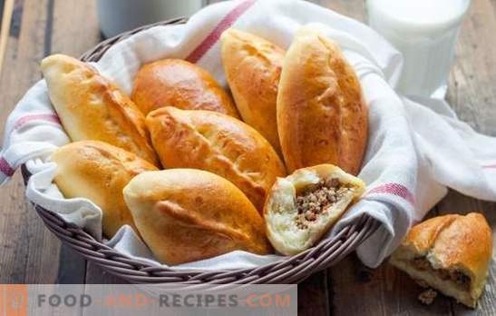 Recipes for pies with minced yeast dough. Hearty and appetizing pastries: patties with minced yeast dough