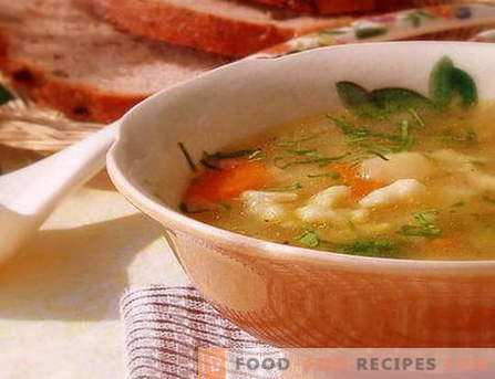 Dumpling soup - the best recipes. How to properly and tasty cook soup with dumplings.