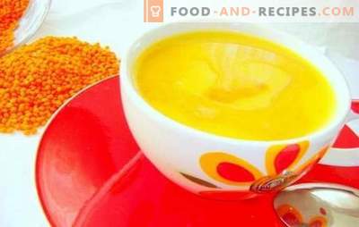 Lemon sauce is a fragrant addition! Simple recipes for lemon sauces for meat, fish, vegetables, sweet dishes and salads