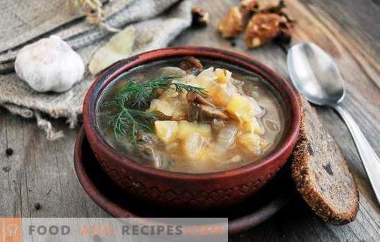 Lenten soup - for fasting and diets are good! The best traditional and original recipes of lean meat soup without meat and animal fat