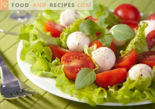 Salad with tomatoes and cheese - proven culinary recipes. How to cook a salad with tomatoes and cheese.