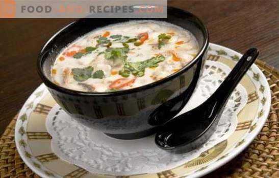 Coconut milk soup is a game of taste! Recipes for different soups with coconut milk for an exotic menu