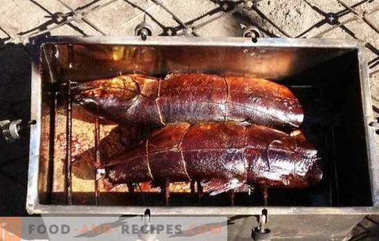 Ways to smoke pink salmon at home. Proven recipes of simple dishes of smoked pink salmon own cooking