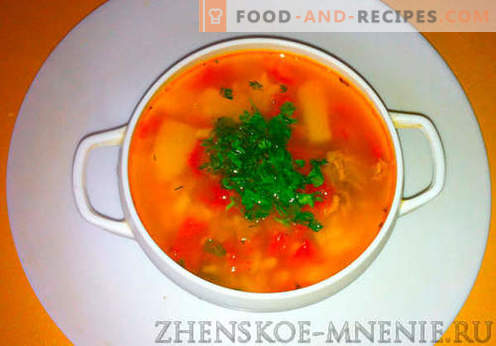 Kharcho soup - recipe with photos and step-by-step description