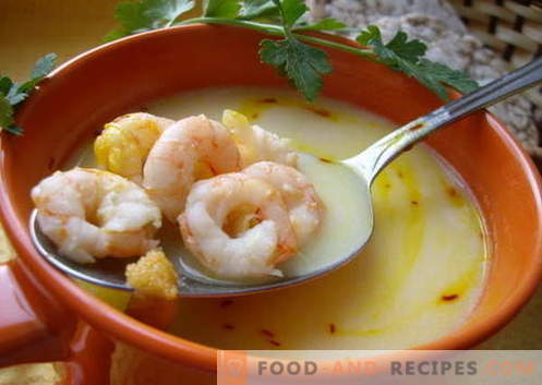 Shrimp soup - the best recipes. How to properly and tasty cook soup with shrimp.