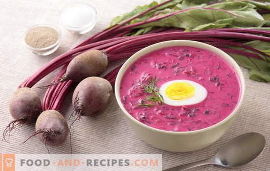 Beet soup - a bright first course with a rich taste! Proven traditional and author's recipes for hot and cold beetroot