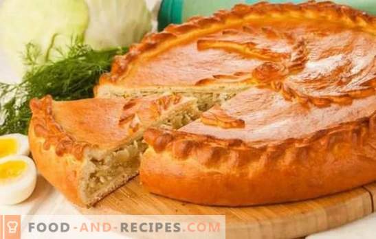 Pies with cabbage in the oven - step-by-step recipes for delicious pastries. Recipes of bulk and yeast pies with cabbage in the oven