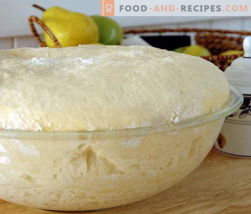 Yeast dough - the best recipes. How to prepare yeast dough.