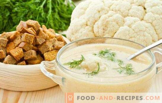 Cauliflower puree soup: dietary and tender. The best recipes for cauliflower puree soup with cheese, meat, fish