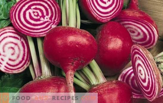 Beets - unusual varieties and dishes