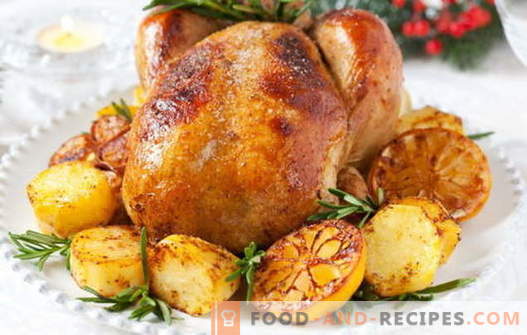 Chicken with lemon - the best recipes. How to properly and tasty cook chicken with lemon.