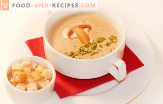 Mushroom cream soup is a delicate version of your favorite dish. The best recipes of mushroom cream soup: with cream, with cheese, rice, cognac, shrimp