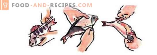 How to clean a perch quickly and efficiently without much effort. How to clean the perch and cut it for soup, frying and roasting