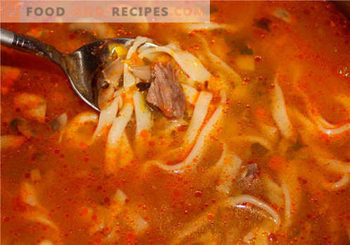Soup in beef broth - the best recipes. How to properly and tasty cook soup on beef broth.