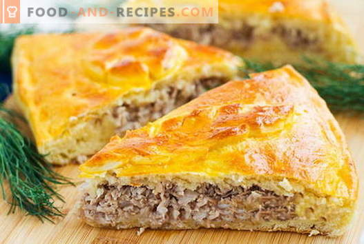 Pie and meat patties are the best recipes. How to properly and tasty cook meat pies.