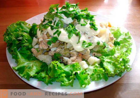 “Moscow” salad - the best recipes. How to properly and tasty cook salad 