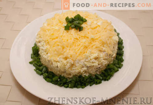 Layered salad - a recipe with photos and step by step description
