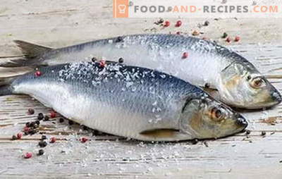 Tasty herring at home is always an excellent result. The best recipes for tasty herring at home