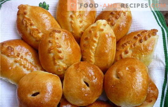 The most famous, along with the simple ones, are meat pies in the oven. Types of dough and recipes for meat patties in the oven