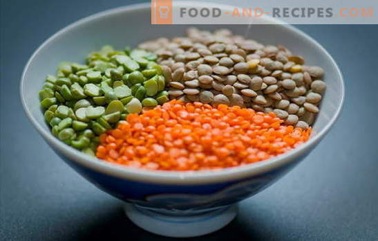 How to cook lentils red, green, brown, black. Simple ways of cooking lentils in a pan and a slow cooker: secrets and tricks